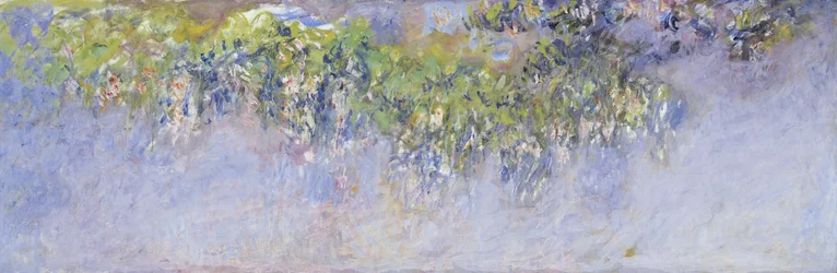 Blauregen, 1919-20